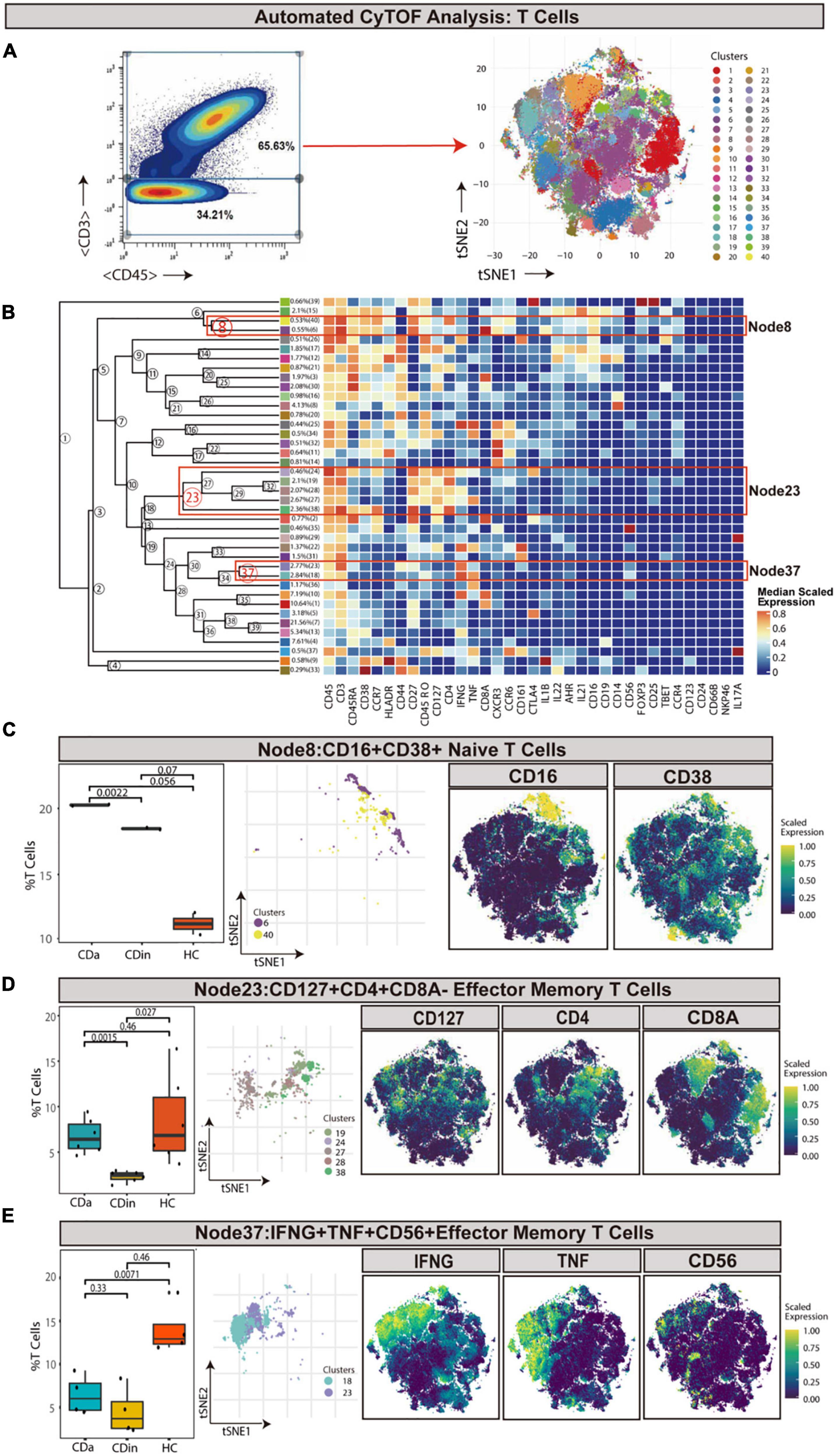 Mass cytometry and single-cell RNA sequencing reveal immune cell characteristics of active and inactive phases of Crohn’s disease